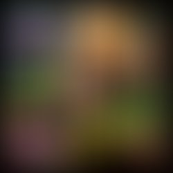 Pixlr 20181109143702355 20181109184119430