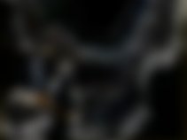 Marcus Flowers Music LLC