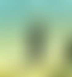 Ml reverbnation profilephoto