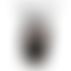 Nine cold wolves   final draft deffo 