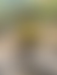 Bf4dd877 674f 47d5 a465 6f817fc533af