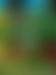 Dscn0527 li 2 