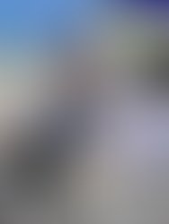 Aeb90a21 8b64 48b5 995e 6f1b10890323