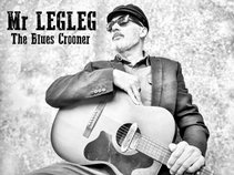 Mr LEGLEG
