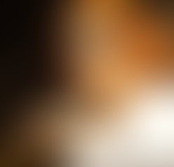 Artist 5984563 1552342034