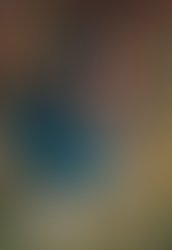185dac6428021e1b8c28b0c9158d6527dc308512