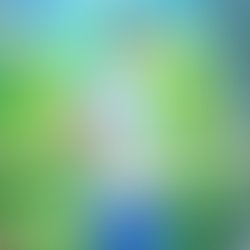 Artist 5989745 1602832876