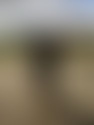 20161226 195010899 ios