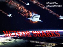 Meteor Sharks