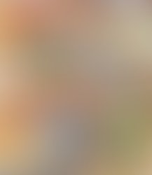 900d22d39ef5ba1eb2c561d1dd31eff3cf9b8e98