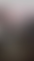 C77b1ae5 de8c 4c93 9f02 5c9e9b534377