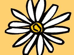 Image for Rani Arbo & daisy mayhem