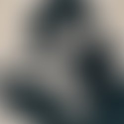 17202698 861914763951620 4373399125848578873 n