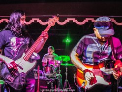 Image for Petey & the Ravens