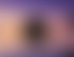 Capture d cran 2017 11 22 12 26 28