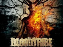 Blood Tribe