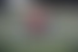 C9bcf666 8d34 461f 87d9 243a93ef9455