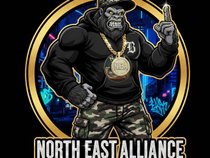 N.E.A.