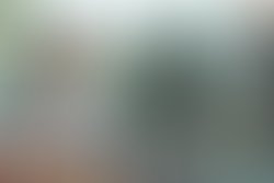 18920497 544177912419611 5199149189071419552 n