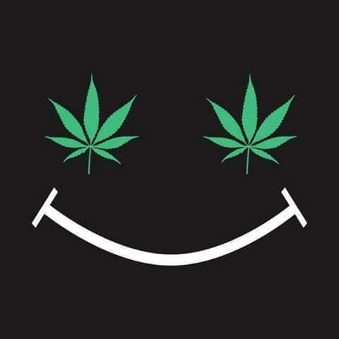 ReverbNation profile picture for @shimano
