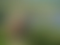 550544 163631193767619 440358229 n