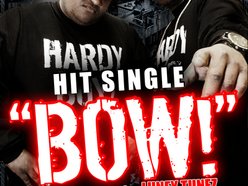 Image for HARDY BOYZ