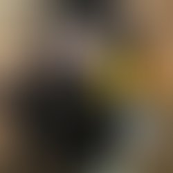 Artist 6024223 1513277464