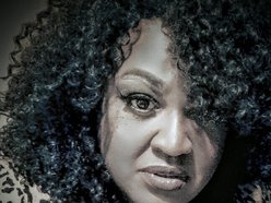 MSM ECLECTIC INDI RECORDS