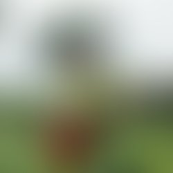 Img 20170618 091530