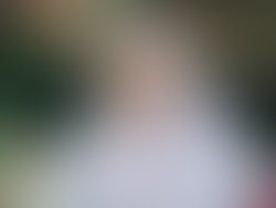 791cba60beeb36086c67db9407e5ff0f29b2d454