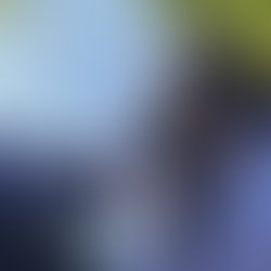 71b30e7c 526f 4339 86db c61f88132b06