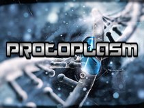 ProtoPlasm