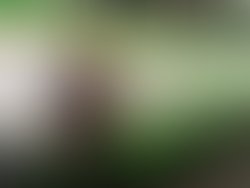 Received 2512117385694181