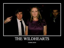 Image for The Wildhearts
