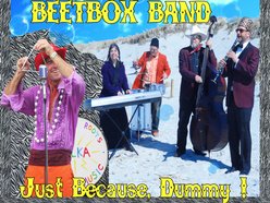 Image for Polka Dan's Beetbox Band