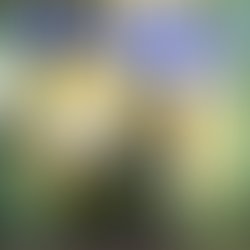 Received 111087806225187 2
