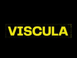 Viscula