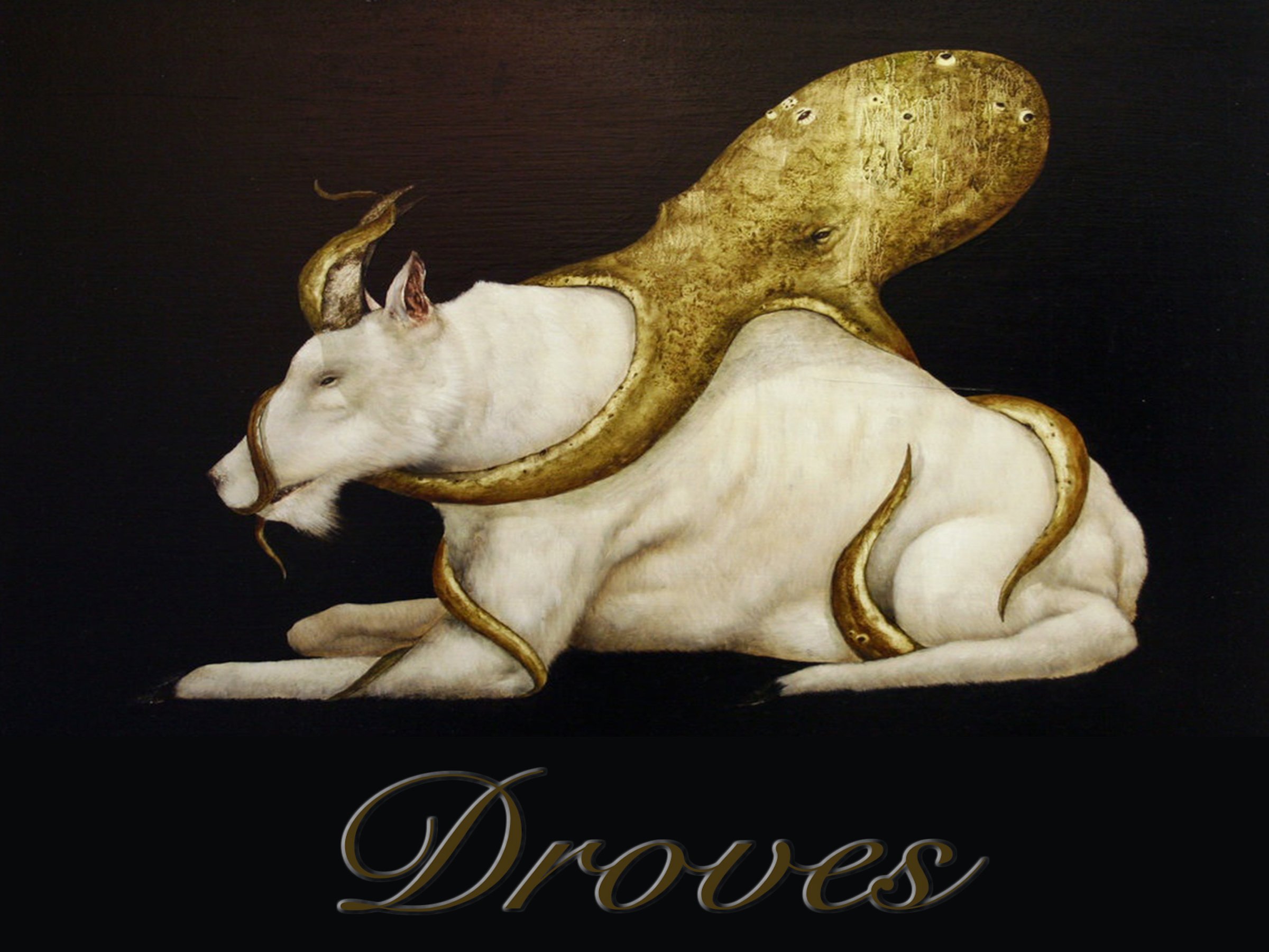 ReverbNation profile picture for @droves