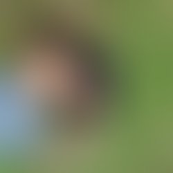 Artist 6063060 1524116965