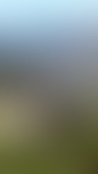 20171125 114016
