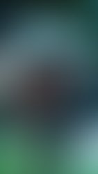 Fc0d995ccd1e39c6fa9f1924a990de64aa857cd7