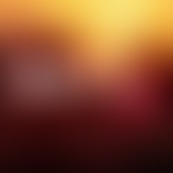 Back to 84 small square la