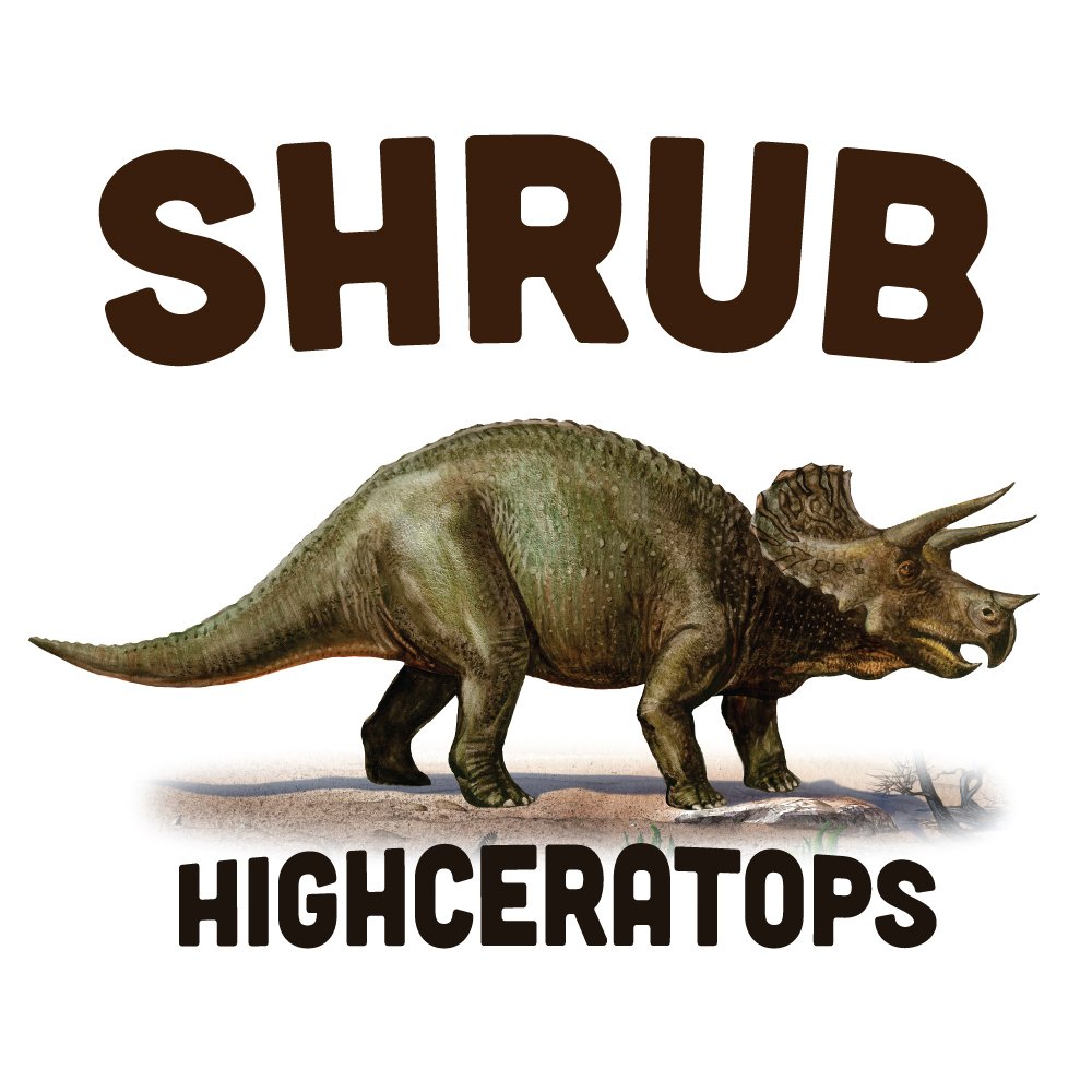 ReverbNation profile picture for @shrub