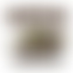 1380498372 highceratops art 1000