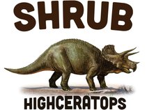 Shrub