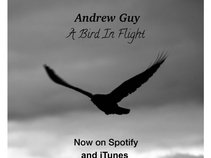 Andrew Guy
