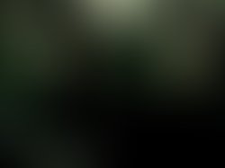 1 1263091718