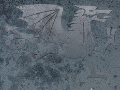 Image for Serpent Wise
