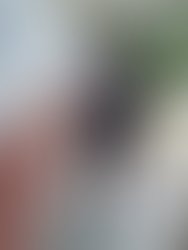 82032954 461939437806157 8918116302967537664 n