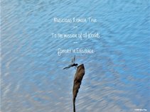 Victoria Rich - Bargfrede